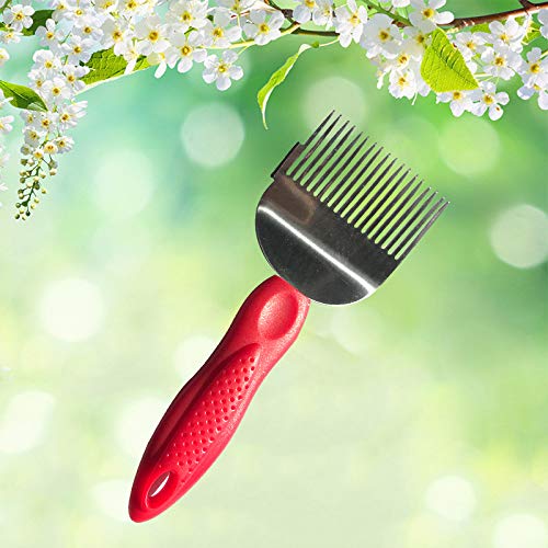 Stainless Steel Uncapping Fork Plastic Handle Honey Knife Cut Cork Straight Needles Beekeeping Tools (Red, Yellow, Blue)