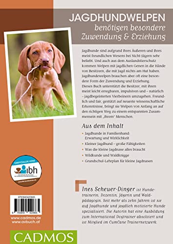 Wilde Welpen & kleine Jagdnasen: Jagdhundwelpen in Familienhand