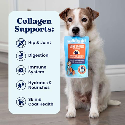 Image of Solid Gold Turkey Bone Broth for Dogs - Limited Ingredient Bone Broth Dog Food Toppers for Picky Eaters with Collagen & Superfoods - Dog Gravy Topper for Dry Food - Gut Health & Hydration - 6 Pack