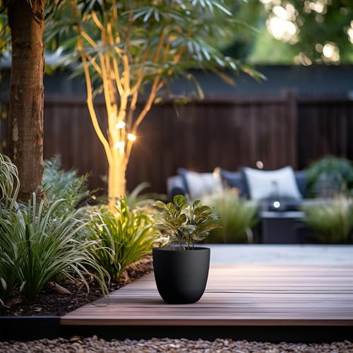 Image of Kante Small Round Bowl Black Concrete Planter 10 inch Dia, Outdoor