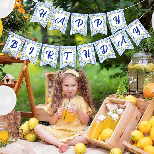 Image of Hooqict Happy Birthday Banner Lemon Birthday Decorations Garland Sign for Summer Fruit Blue Yellow Lemon Themed Party Hanging Decorations Supplies