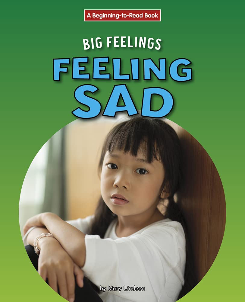 Buy Feeling Sad (Beginning-to-read: Big Feelings) — BookShops.in