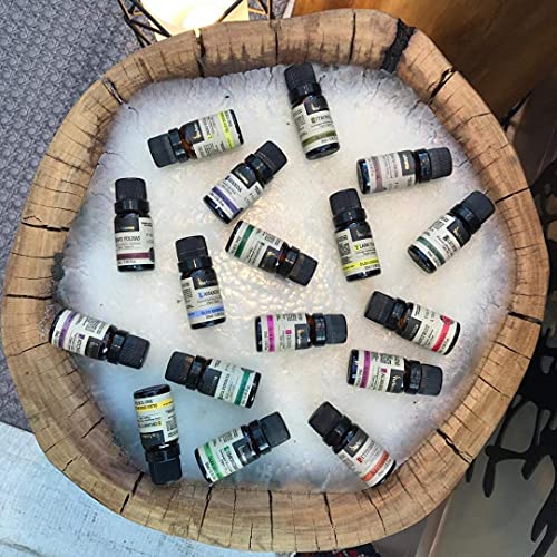 Kit Óleos Essenciais - As melhores fragrâncias Para Difusor, Umidificador, Massagem e Aromaterapia -