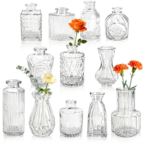 BTSD-home 12 Stück Vasen Set für Blumen, Kleine Vasen für Tischdeko, Hochzeitsdekoration, Deko...