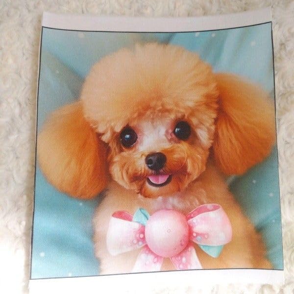Amazon.co.jp: トイプードル⑤ パネル 生地 8枚セット犬柄 限定 Amazon.co.jp: トイプードル⑤ パネル 生地 8枚セット犬柄 限定