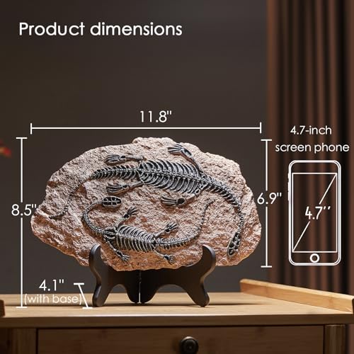 Image of 1st Heaven Resin Dinosaur Fossil Sculpture - Realistic Dinosaur Skeleton for Desk & Wall Display, Prehistoric Jurassic-Era Dino Decor, Unique Gift for Dino Lovers & Home Decor (Plesiosaurus)