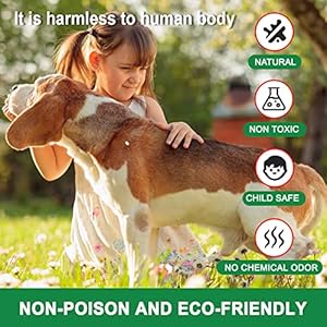 Mice-Repellent-Rodent-Repellent-OutdoorIndoor-Rat-Repellent-Balls-Mouse-Repellent-Peppermint-for-House-Peppermint-to-Repel-Mice-and-Rats-RV-Rat-Repellent-Keep-Mice-Away-8Pcs - Cucciolini Doodles   Mice-Repellent-Rodent-Repellent-OutdoorIndoor-Rat-Repellent-Balls-Mouse-Repellent-Peppermint-for-House-Peppermint-to-Repel-Mice-and-Rats-RV-Rat-Repellent-Keep-Mice-Away-8Pcs