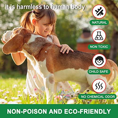 Mice-Repellent-Rodent-Repellent-OutdoorIndoor-Rat-Repellent-Balls-Mouse-Repellent-Peppermint-for-House-Peppermint-to-Repel-Mice-and-Rats-RV-Rat-Repellent-Keep-Mice-Away-8Pcs - Cucciolini Doodles   Mice-Repellent-Rodent-Repellent-OutdoorIndoor-Rat-Repellent-Balls-Mouse-Repellent-Peppermint-for-House-Peppermint-to-Repel-Mice-and-Rats-RV-Rat-Repellent-Keep-Mice-Away-8Pcs