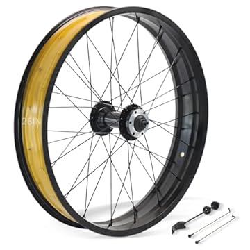 fat wheel electric bicycle
