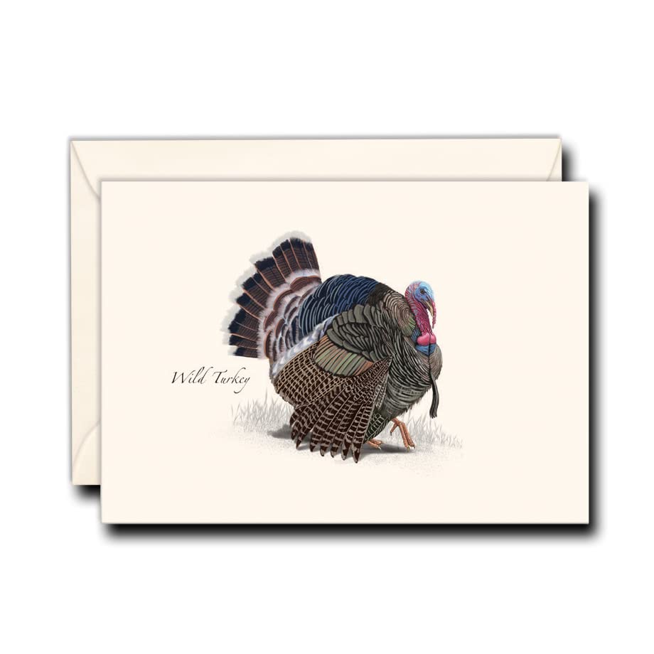 Image of Earth Sky + Water - Wild Turkey Notecard Set - 8 Blank Cards with Envelopes