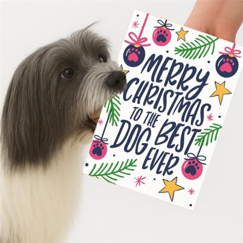 Scoff Paper Edible Christmas Dog Card â€“ The Card Your Dog Can Eat! Single A5, Bacon Flavour. Ideal, Treat, Snack, Gift Or Present For Your Pet