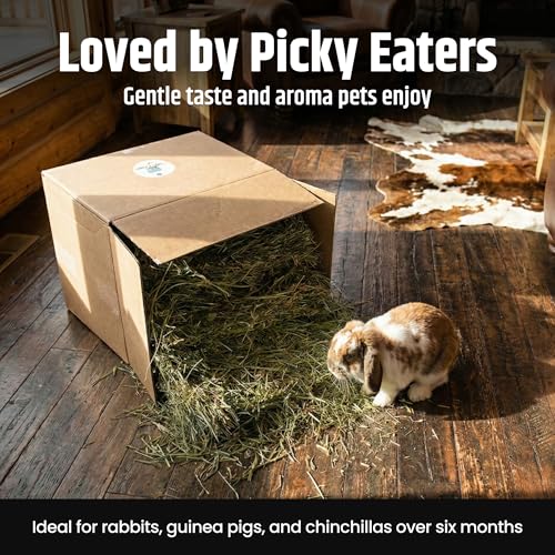 High Desert Orchard Grass Hay, Natural Orchard Hay for Rabbits Guinea Pigs Hamsters and Chinchillas, Soft Leaf Texture for Grazing and Foraging, Small Pet Supplies, Fresh Hand Packed Hay Box, 4 Lb - Image 5