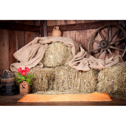 YongFoto 3x2m Vinyle Toile de Fond Ancienne Grange avec des Balles de Paille Ferme Campagne Fond Décors Studio Photo Portrait Enfant Video Fete Mariage...