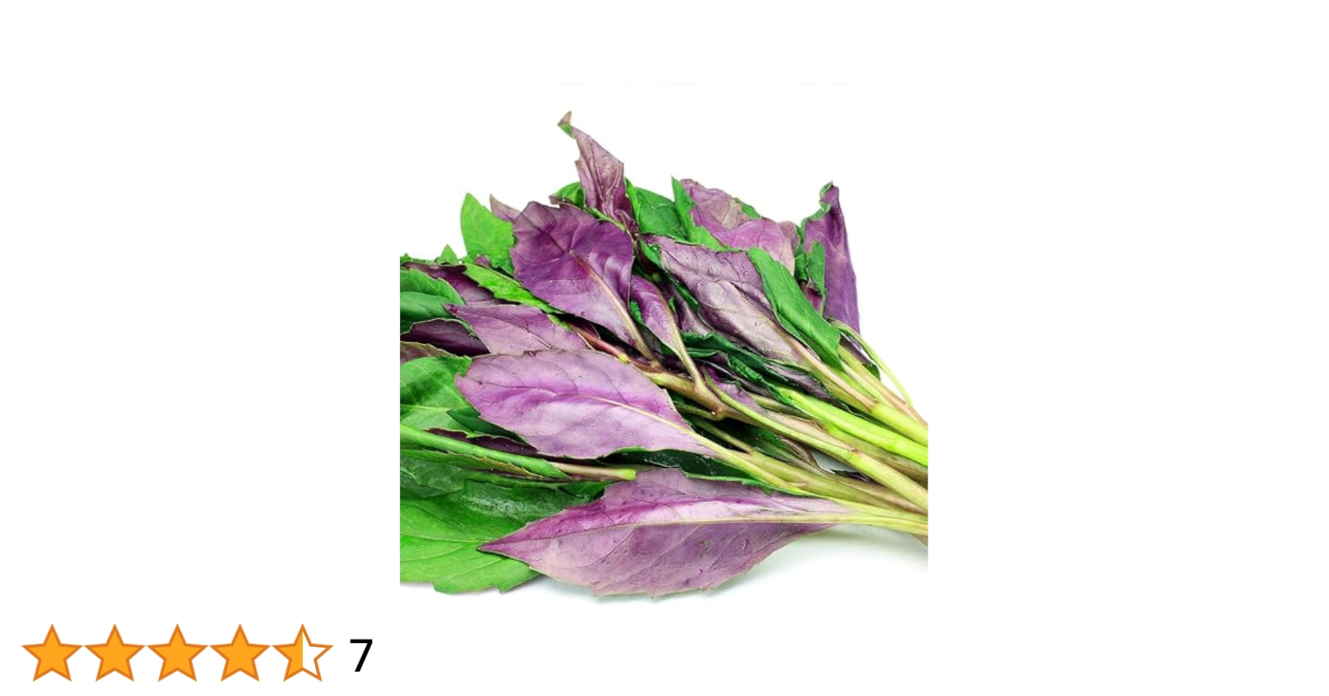 金時草80株　専用出品 Amazon.co.jp: ITANSE 金時草(きんじそう・水前寺菜) 3