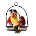 Price comparison product image Pirate Pete The Repeat Parrot