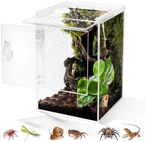 Terrarium, 360° Transparent Reptile Terrarium – Acrylic Insect Terrarium 20 x 20 x 30 cm, Breeding Box for Jumping Spider, Gecko, Bearded Dragon Lizard, Snail, Insects Stick, Tree Frog