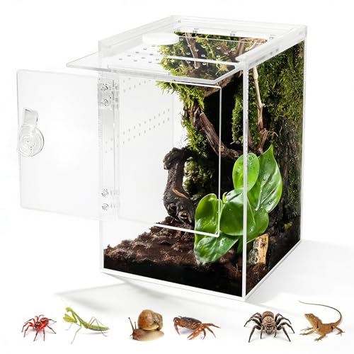 Biigdan Ouverture Frontale Terrarium,360° Rectangle Vivarium 26x19x19CM avec Ventilation Croisée,Etanche Terrarium Acrylique pour Reptiles, Araignée,...