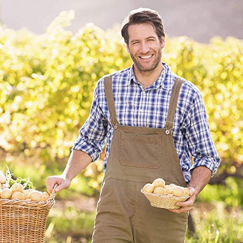 Pfanni Kartoffelfertiggericht Kartoffel Gratin Fix & Fertig für die schnelle Zubereitung deutsche Kartoffeln 400 g