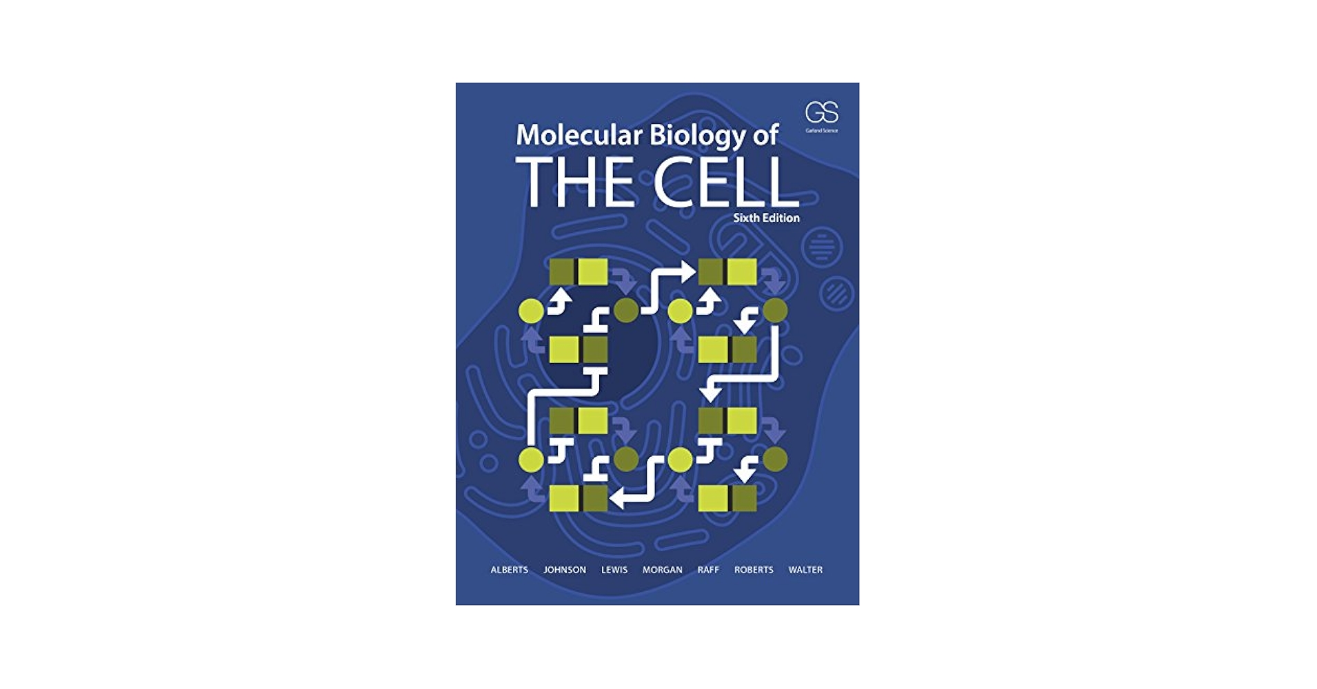 Molecular Biology of THE CELL 第6版　英語版 Amazon | Molecular Biology of the Cell | Alberts, Bruce