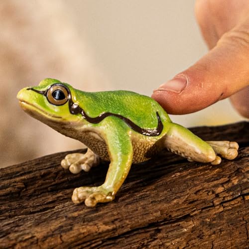 schleich WILD Life | Europäischer Laubfrosch 14882 | detailgetreue Tierfiguren | Zoo Spielzeug | tolles Geschenk für Jungen und Mädchen | Deko für Geburtstag | Spielfigur ab 3 Jahren | 4 x 5 x 3 cm
