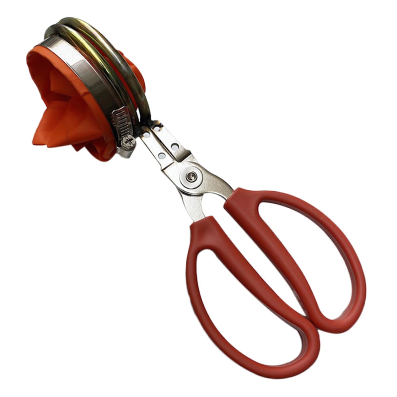 BESPORTBLE 4 Pièces Outils de cueillette Fruit Ciseaux Panier cueilleur de longanes Support de cueilleurs de longanes détachable Haricots Rouges Fraise Goji Litchi et Longane