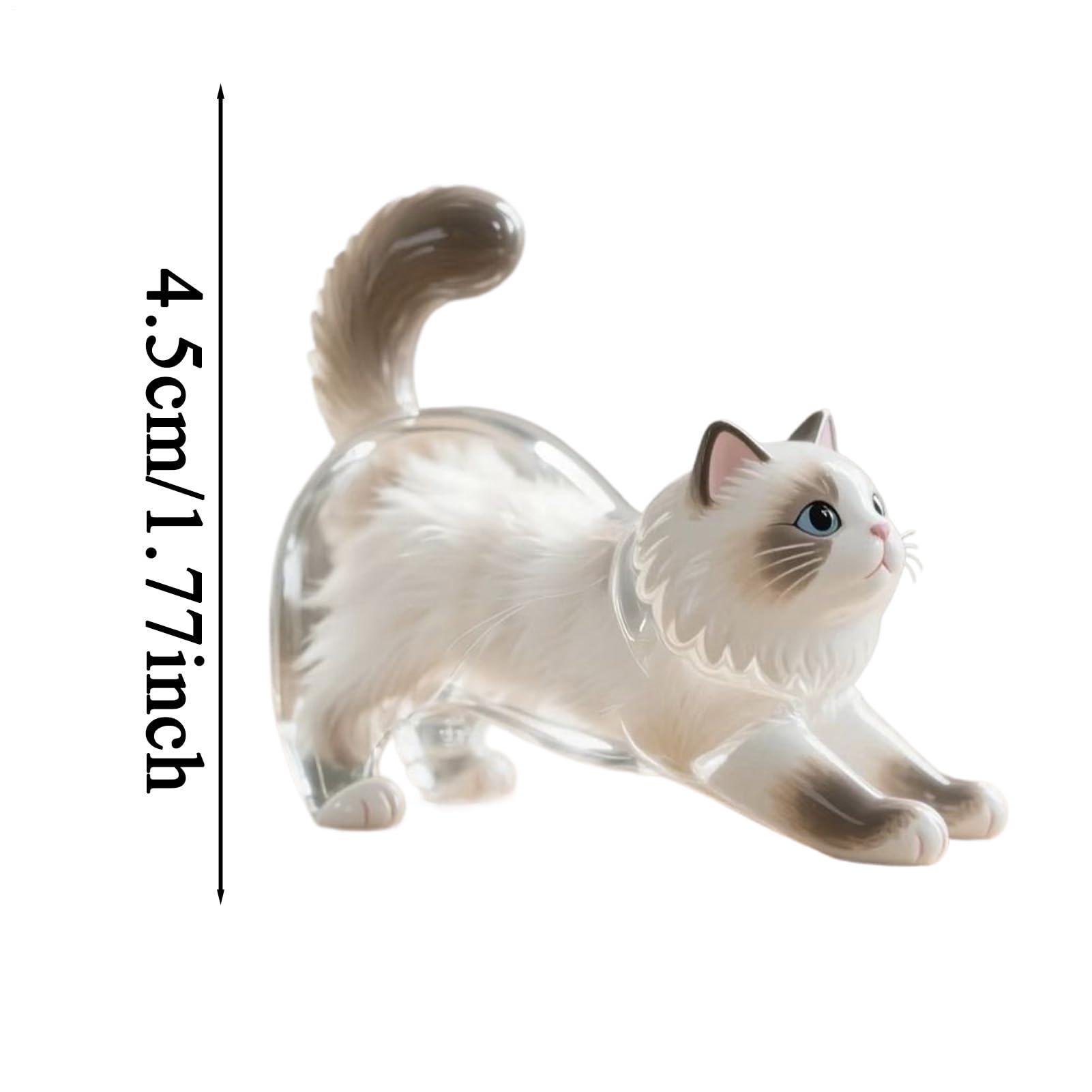 Llaveros de gato, botella de almacenamiento de transparente de acrílico, recuerdo conmemorativo de de mascotas, colgante conmemorativo de mascotas, llaveros coleccionistas de pelos de gato