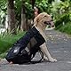 WLDOCA Hunderucksack für mittelgroße Hunde mit wasserdichtem Futter, für Motorradfahren, Wandern, Einkaufen, Reisen, Geeignet für Haustiere von 10 kg bis 15 kg,Black