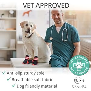 Breathable-Dog-Shoes-for-Small-Dogs-x4-Dog-Boots-for-Hiking-Rain-Heat-General-Paw-Protection-Size-40 - Cucciolini Doodles   Breathable-Dog-Shoes-for-Small-Dogs-x4-Dog-Boots-for-Hiking-Rain-Heat-General-Paw-Protection-Size-40