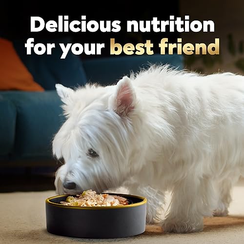 Cesar Wholesome Bowls Wet Dog Food, Chicken Variety Pack, 3 oz, 6 Count - image 7