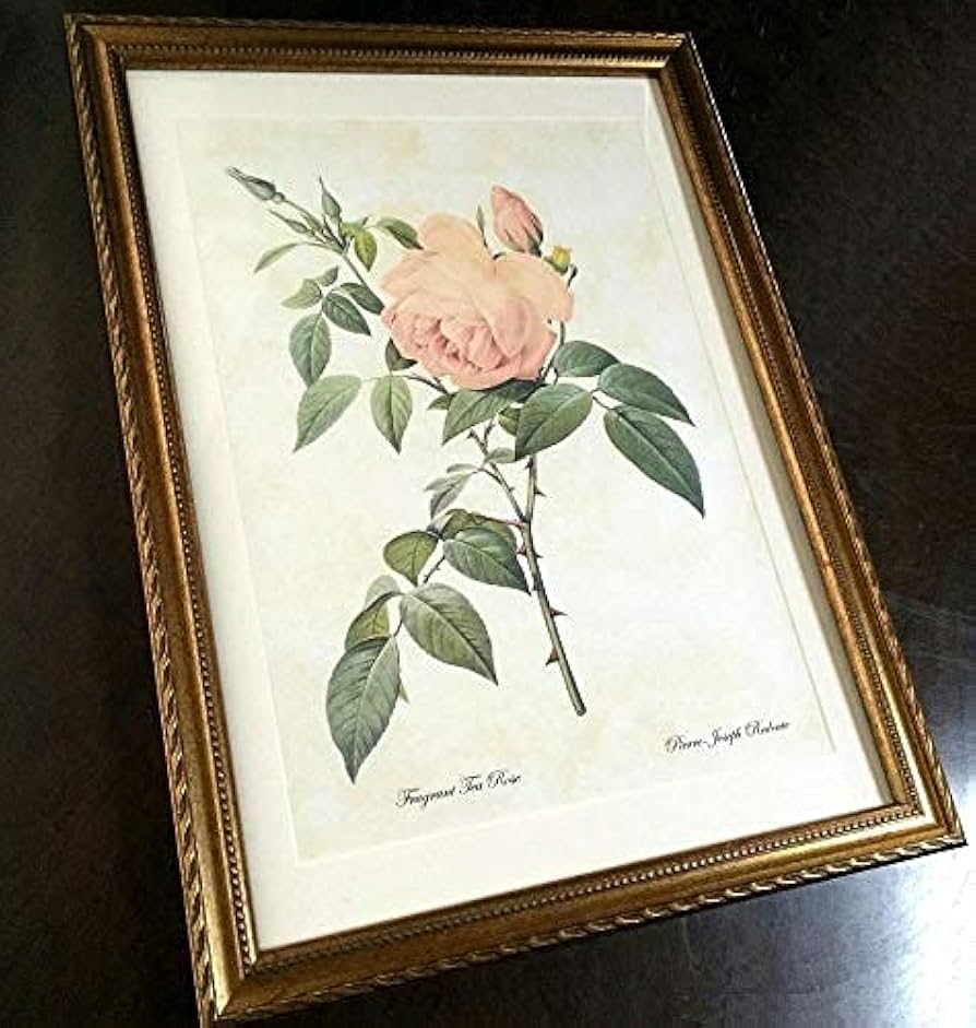 ルドゥーテ「オレンジの木」　額縁絵 楽天市場】Pealimo インテリア 絵画 植物 ピエール ジョゼフ