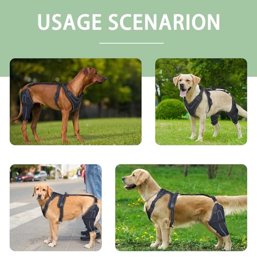 Image of Dog Acl Knee Brace for Torn Acl Leg, Dog Knee Pads for Back Legs Warm Joints and Relieve Joint Pain, Acl Brace for Dogs Rear Leg (XL)