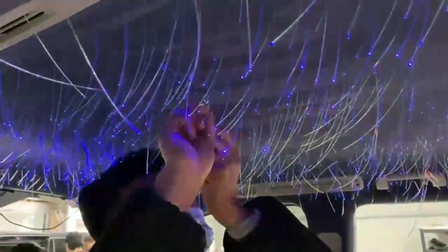 Image of Meteor Twinkle 750 pcs 6.5ft Starlight Headliner Light,16W LED Star Ceiling Fiber Optic Light Kit APP /Remote Control for Car /Home /Party