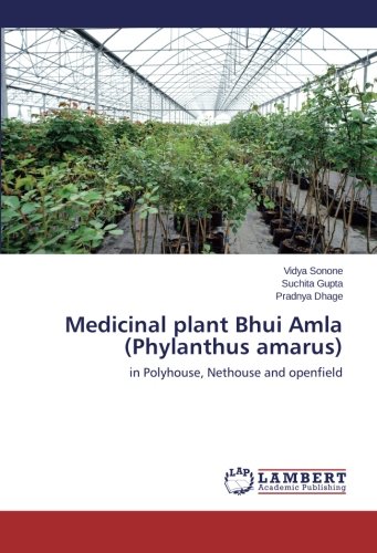 Medicinal plant Bhui Amla (Phylanthus amarus)