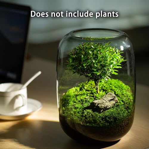 Image of SARUFO Glass Plant Terrarium 6.3 inchX8.6 inch Inches Succulent Air Planter Fern Moss Micro-Landscape Vase for Home Garden Office Tabletop Decoration Container Indoor Wardian Copyright Patent