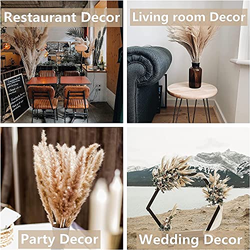 Ramo de Hierba Pampas Grande Seco Decorativo 30 piezas miniatura 7