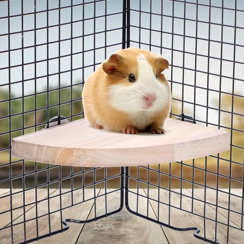 Image of Bird Perch Stand, Wooden Platform for Parrots, Canaries, Cockatiels, Finches, Budgies, Lovebirds, Hamsters, Guinea Pigs, Chinchillas