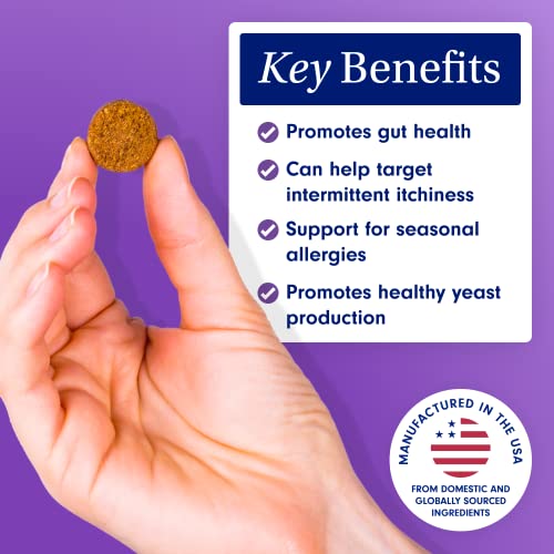 PetLab-Co-Allergy-Immune--Support-Your-Pup-with-Seasonal-Allergies-Intermittent-Itchiness-Healthy-Yeast-Production-Probiotic-Dog-Allergy-Chews-Available-in-Small-Medium-Large