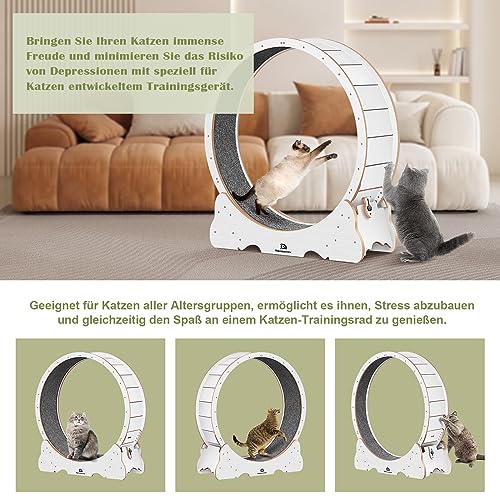 Naviconvex Katzenlaufrad XL Durchmesser 113cm Groß laufrad Katze Super Leise Katzen Laufrad mit abnehmbarem Teppich und Katzenangel zum Laufen/Gehen/Trainierenfür, geeignet die meisten Katzen