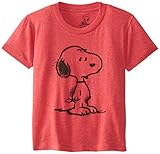 Peanuts Boy's 2-7 Snoopy Spray T-Shirt, Red Heather, 4