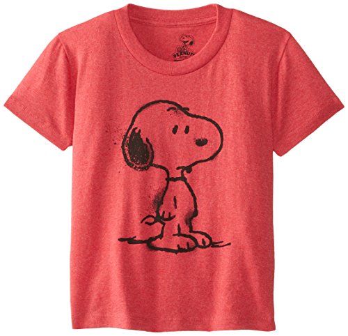 Peanuts Boy's 2-7 Snoopy Spray T-Shirt, Red Heather, 4
