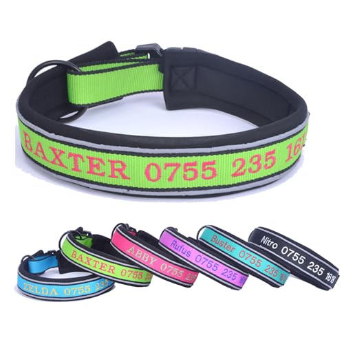 Personalisierter reflektierender Nylon-Hundehalsband mit Name & Telefonnummer