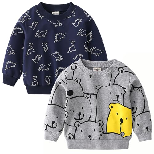 Boys Toddlers Dinosaurs Sweatshirts Long Sleeve Shirt Kids Pullover Tops