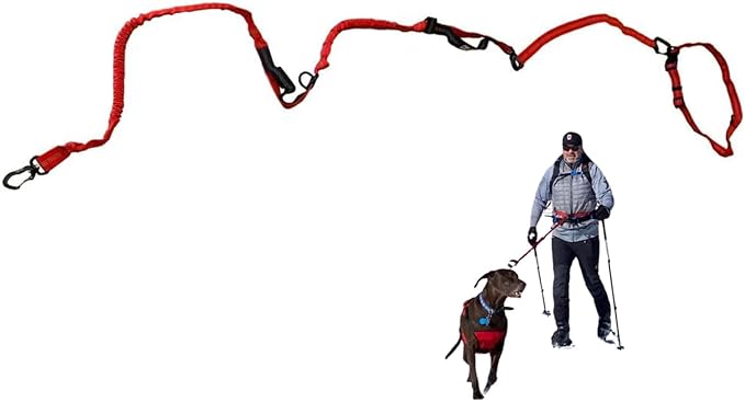 Fido Pro Remi Runner Leash