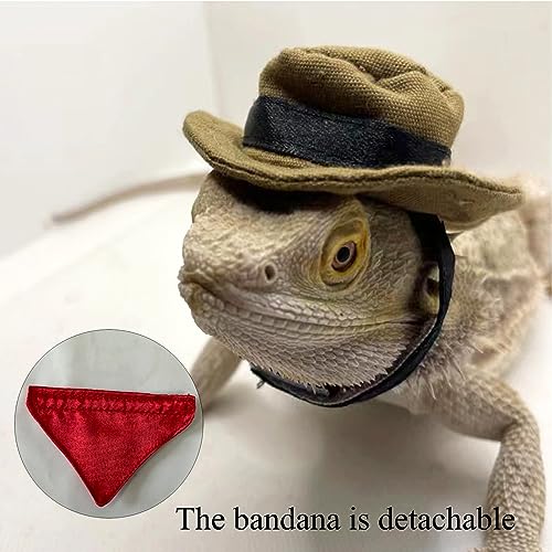 Sombrero y bandana estilo vaquero para mascota pequeña miniatura 3