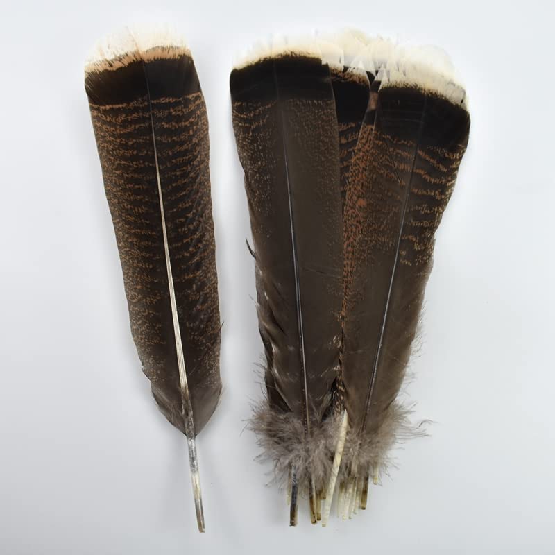 18 plumes d'ailes de dinde naturelles, matériel de montage de