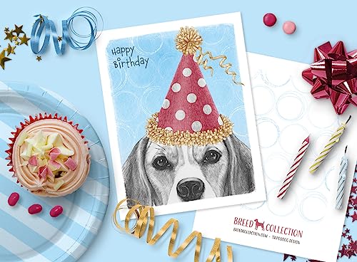 Image of Beagle Birthday Card | 6 Pack | Birthday Party Invitation | A2 Size Blank Note Cards with Envelopes