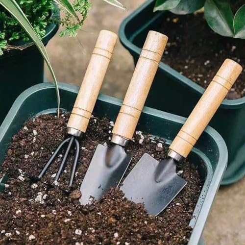 3 Piezas Mini Palas y Rastrillos de Jardín para Bonsái miniatura 3