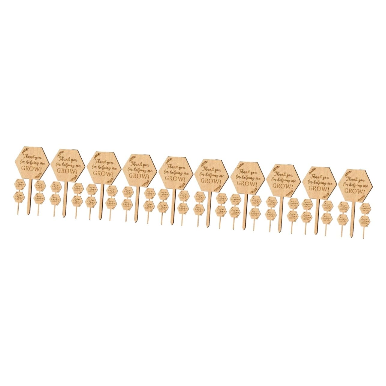 ifundom 5 Set Carta Succulenta Marcatori Da Giardino Etichette Delle Piante Pianta All'aperto Pannelli Di Identificazione Dei Fiori Dell'etichetta Del Vaso Di Legno 20 Pezzi * 5
