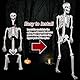 SIFOEL 180cm Halloween lebensgroßes Skelett Halloween posierbare Ganzkörperskelette mit beweglichen Gelenken für Halloween-Requisiten gruselige Party-Dekoration (180-2P)