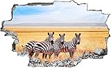 DesFoli Zebra Wildnis Afrika Savanne Wandtattoo Wandsticker Wandaufkleber C2724 Größe 120 cm x 180 cm